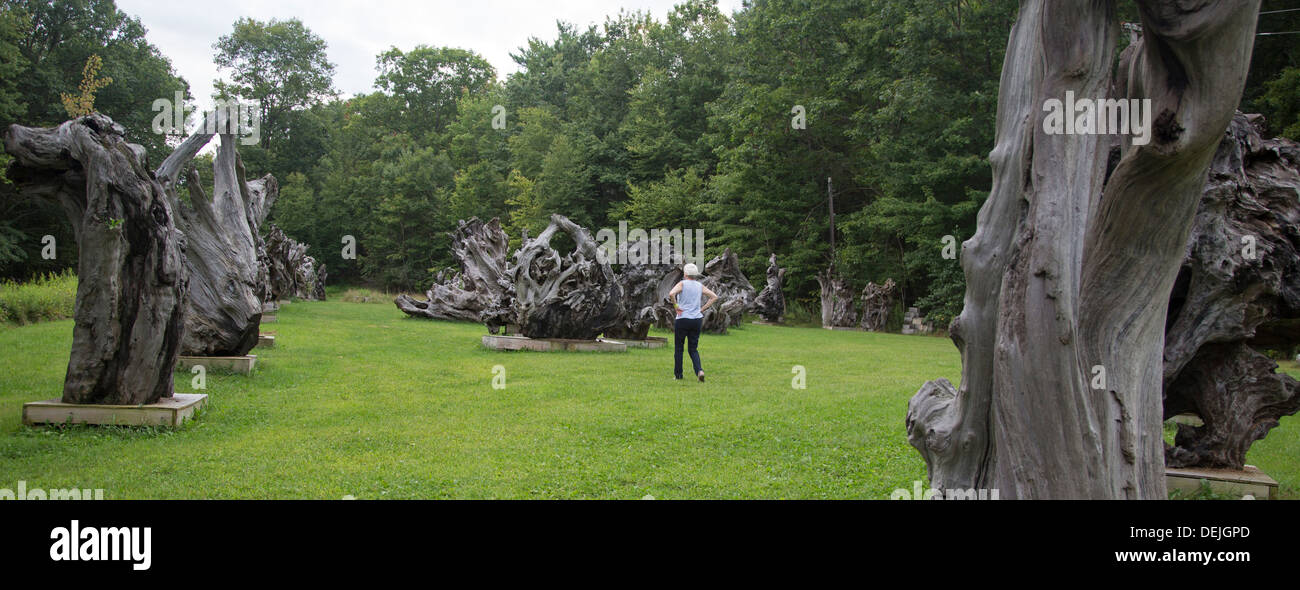 New Paltz, New York - Redwood driftwood sculptures, brought from Northern California beaches to the Catskill Mountains. Stock Photo