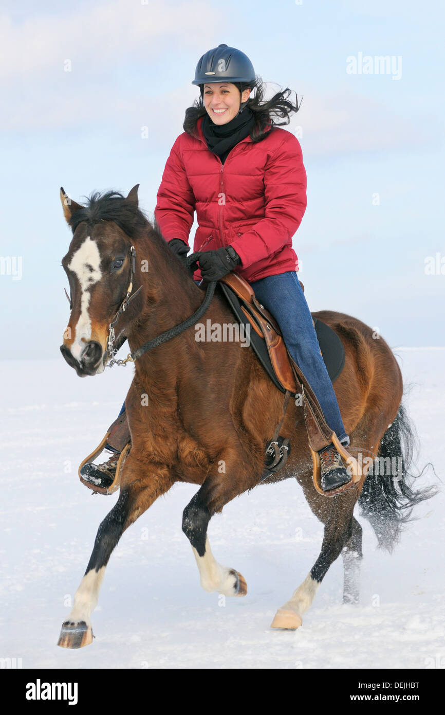 Young rider galloping during a ride out on a Paso Fino horse Stock Photo