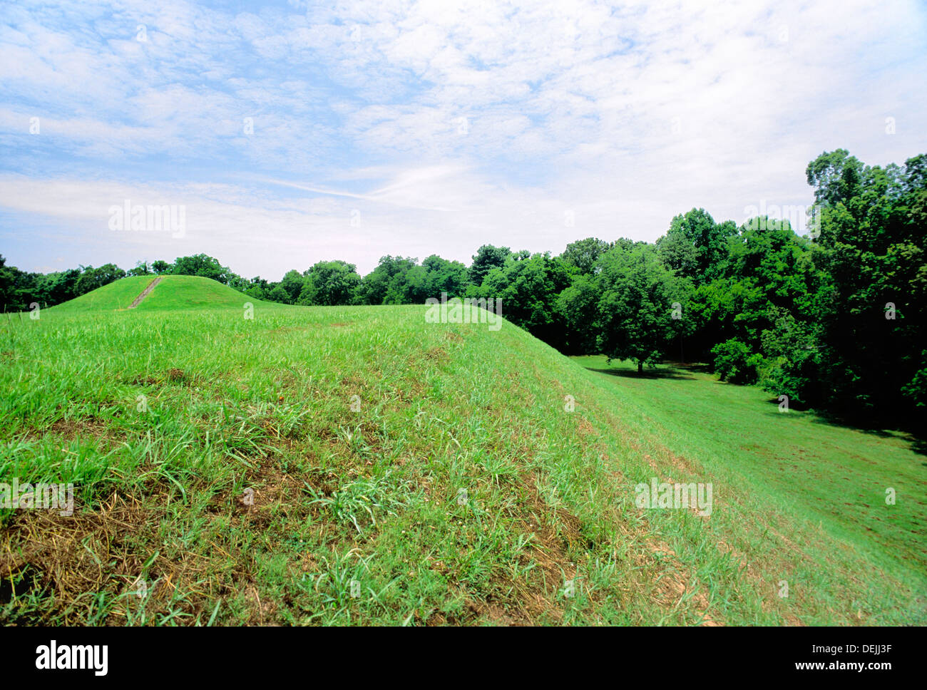 Emerald Mound Site aka Sellerstown 300 to 800 year old Plaquemine culture native Indian ceremonial site. Stanton Mississippi USA Stock Photo