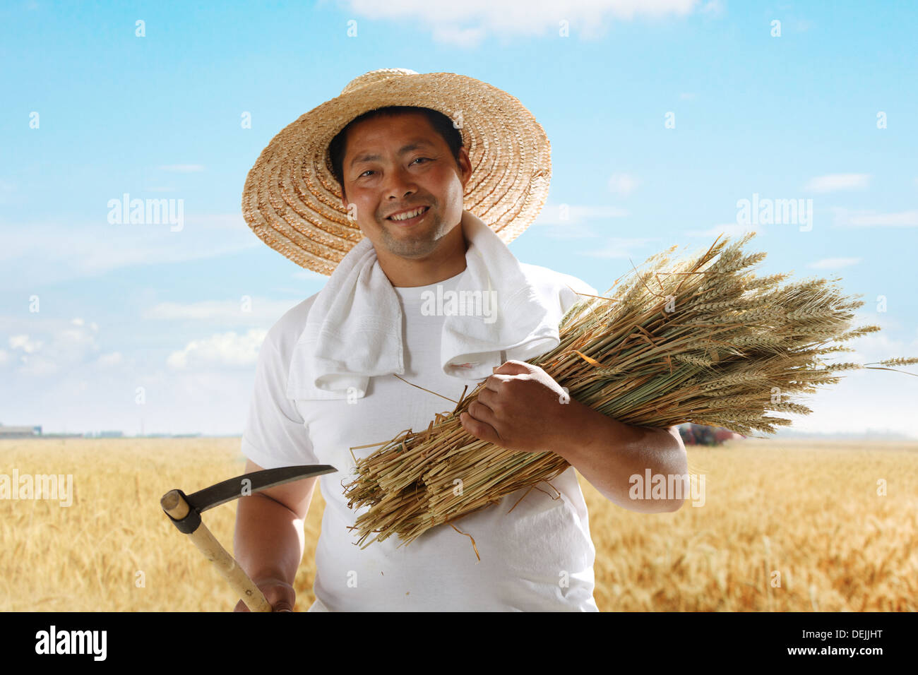 Farmer holding wheat and sickle in field Stock Photo - Alamy