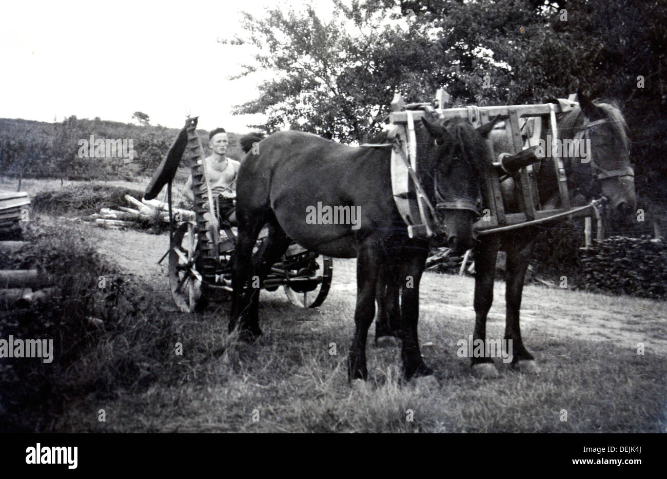 Young Mr Gessler, at his arrival from Switzerland before starting the Domaine de Joÿ wine and armagnac estate, Panjas, Gers, Stock Photo