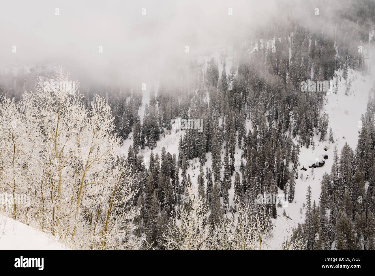 San Juan Mountains. Colorado, USA Stock Photo - Alamy