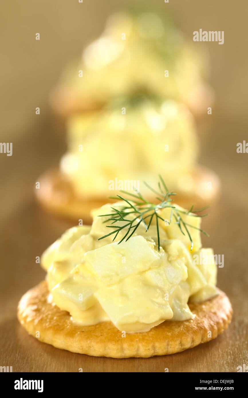 Egg salad served on cracker garnished with dill Stock Photo