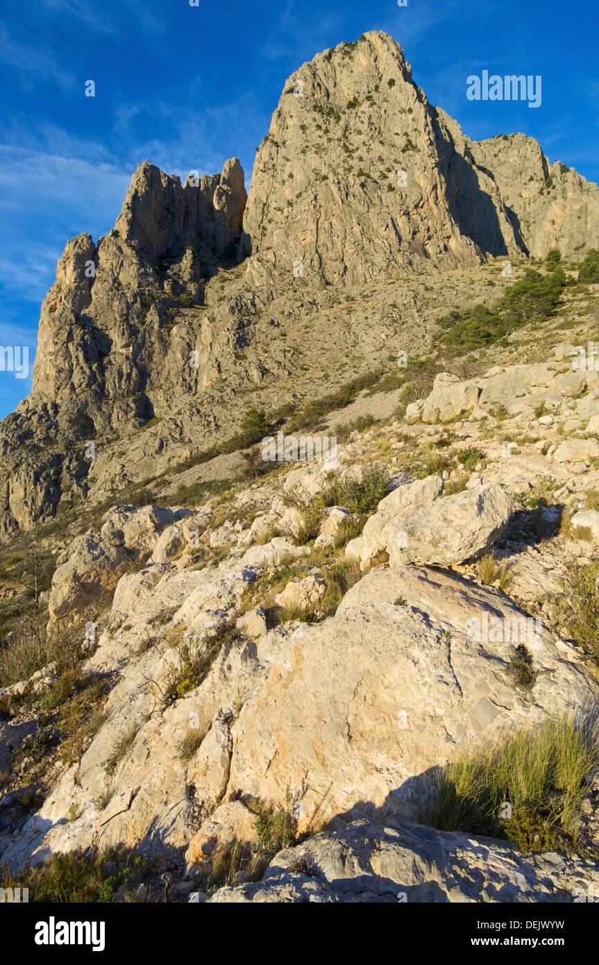 puig campana valencia