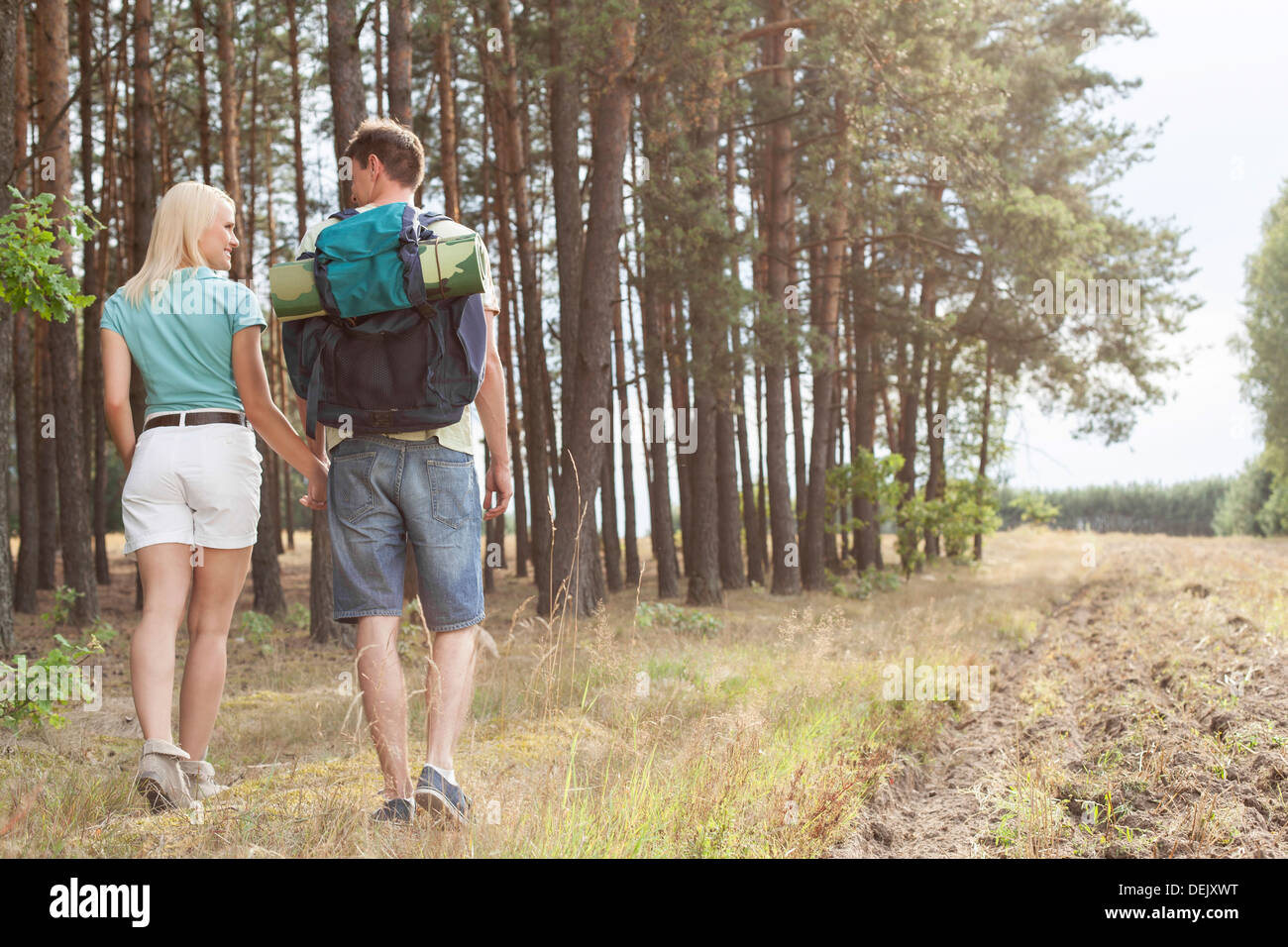 Rear view young couple holding hands while hiking forest Stock Photo ...