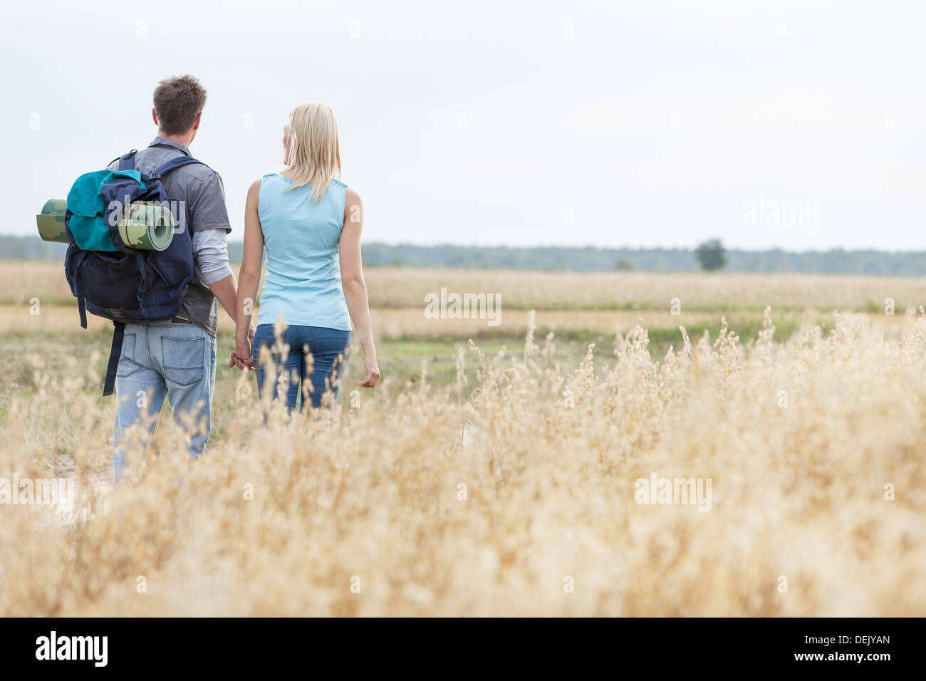 Rear view young hiking couple walking through field Stock Photo - Alamy