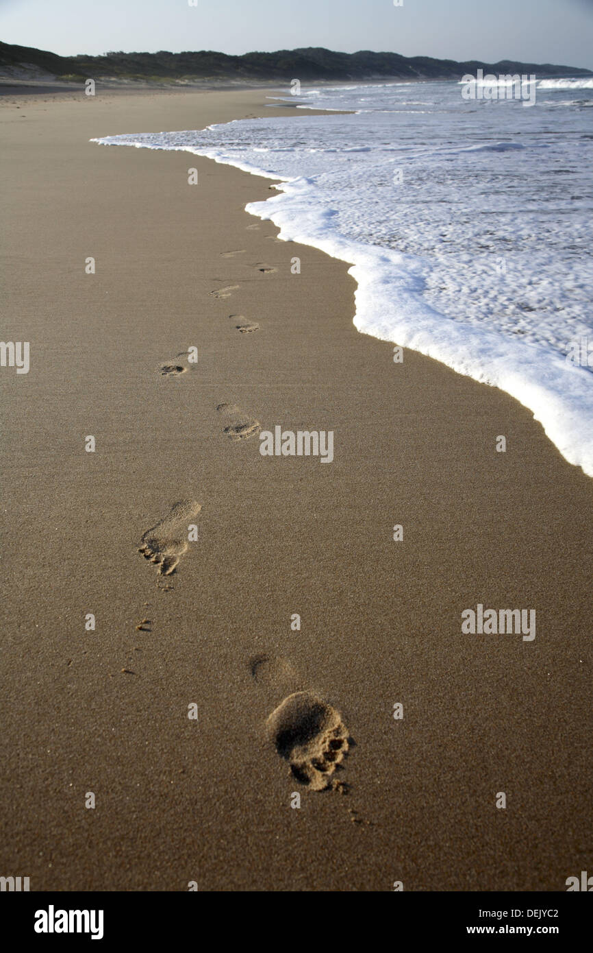 Foot prints on pristine beach of Maputalan coast near Rocktail Bay Lodge, Kosi Bay. KwaZulu Natal, South Africa Stock Photo