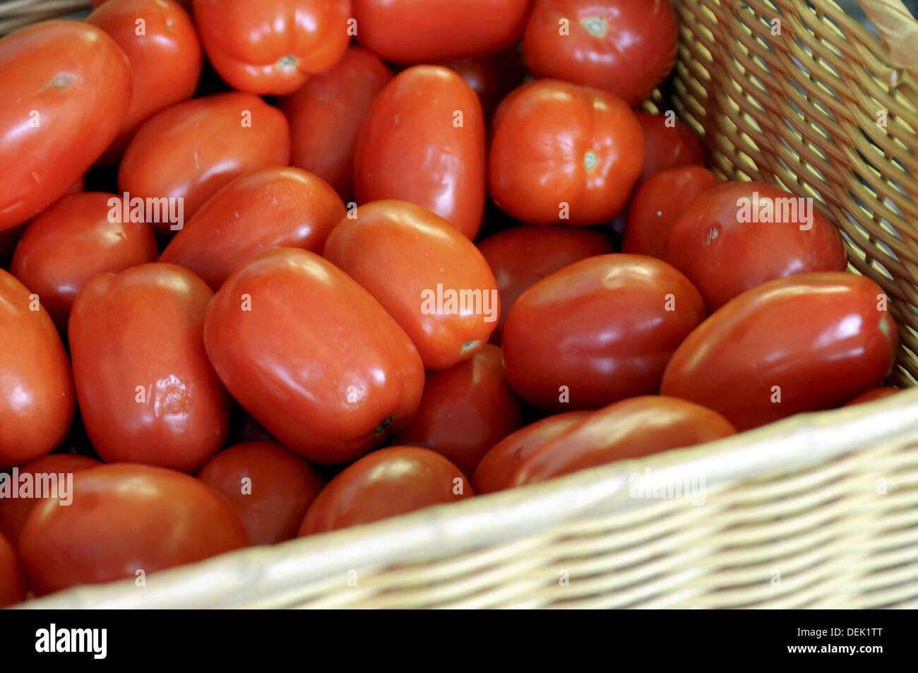Bushel of tomatoes hires stock photography and images Alamy
