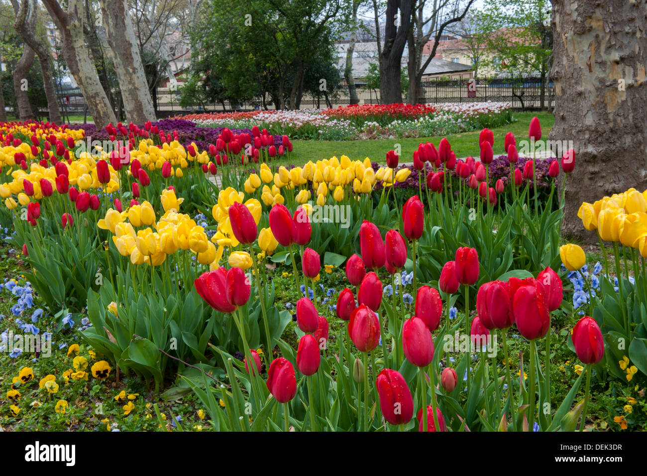Istanbul, Gülhane Park im Frühling Stock Photo