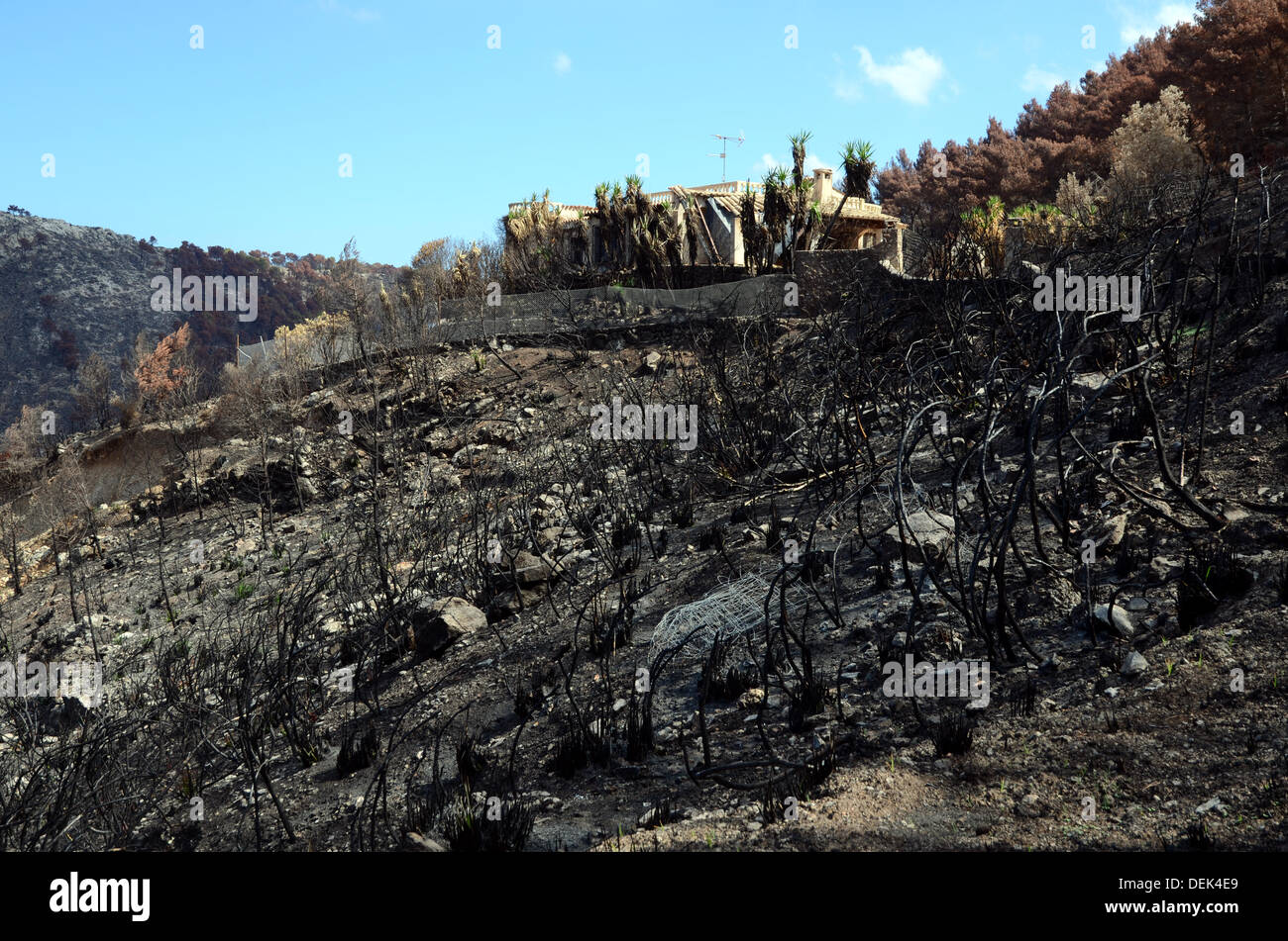 A damaged house is standing in a pine and holm oak forest, which was destroyed by fire, in the Andratx and Estellencs regions in the Tramontane mountains on Majorca. Picture from 4 September 2013. Stock Photo