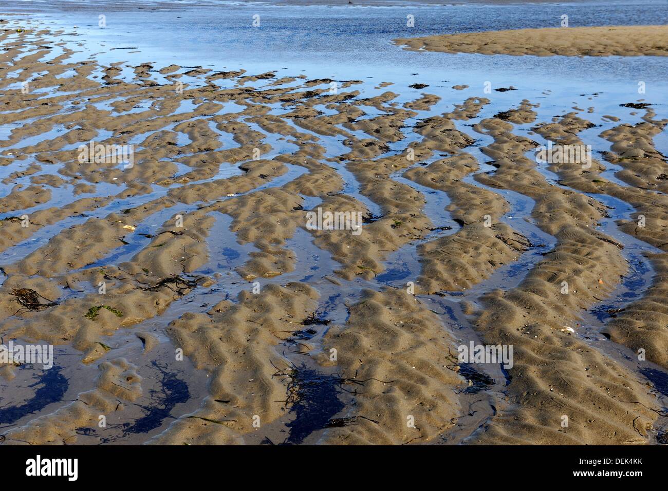 Sand banks at outgoing tide, Saint Louis Logoon, Kouchibouguac National