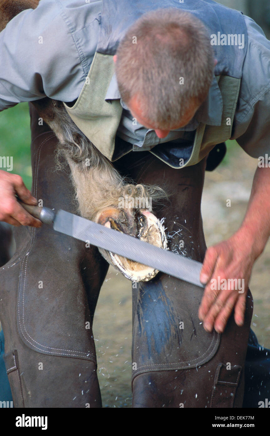 Farrier. Yorkshire, UK Stock Photo Alamy
