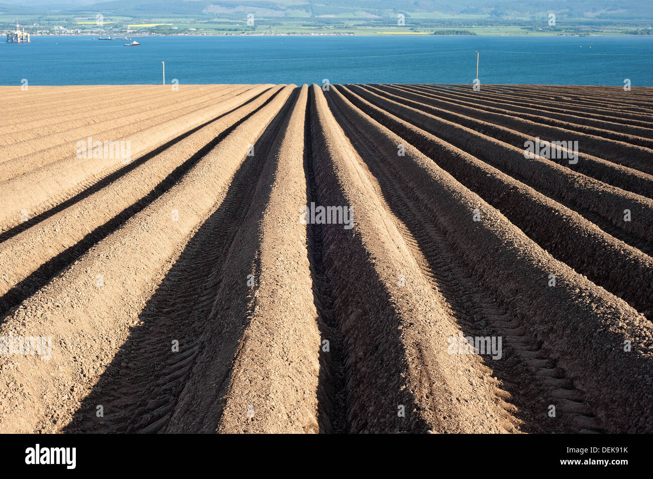 Potato fields on the Black Isle near Cromarty in Scotland. Stock Photo