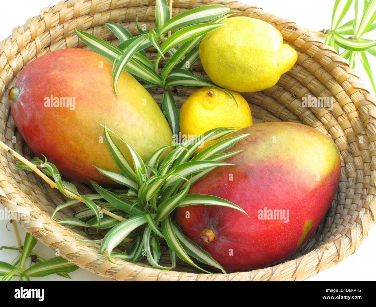 mangoes and lemon Stock Photo Alamy