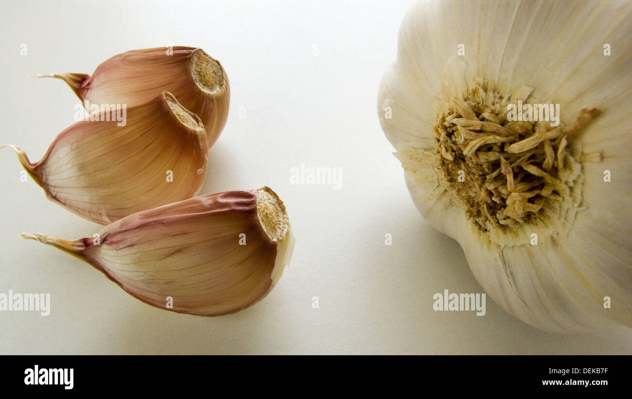 Head and garlic Stock Photo Alamy
