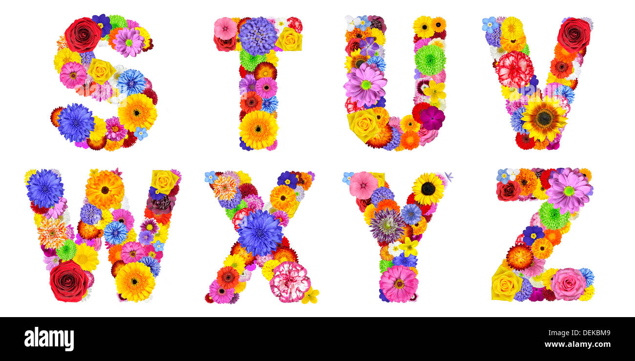 Floral Alphabet Isolated On White Eight Letters S T U V W X Y Z Made Of Many Colorful And Original Flowers Stock Photo Alamy
