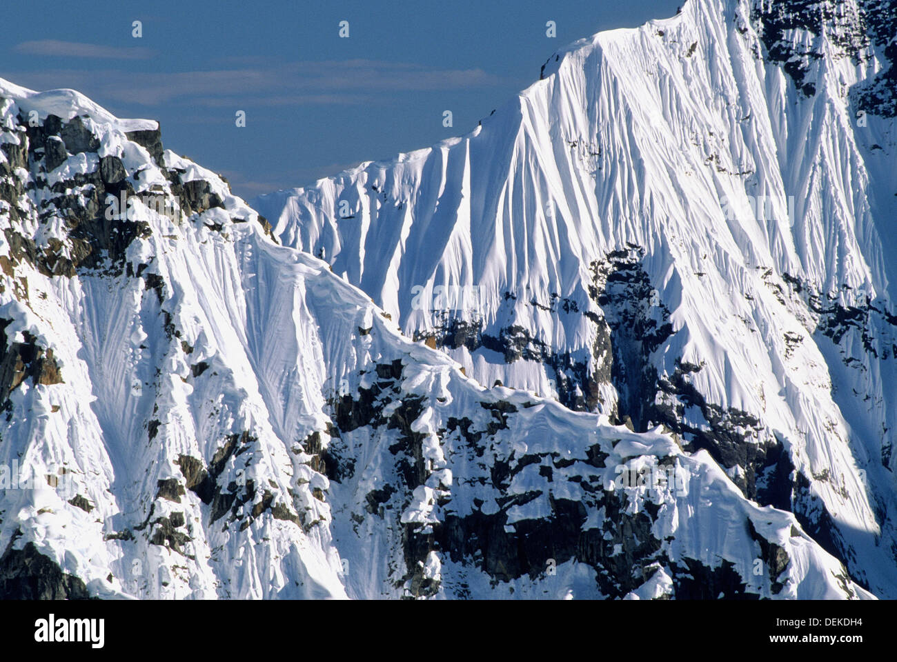Alaska Range, Denali National Reserve, Montane landscape Stock Photo