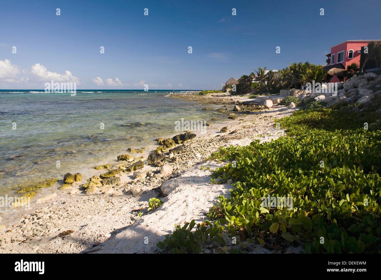 Akumal, Riviera Maya, Yucatán, México Stock Photo Alamy
