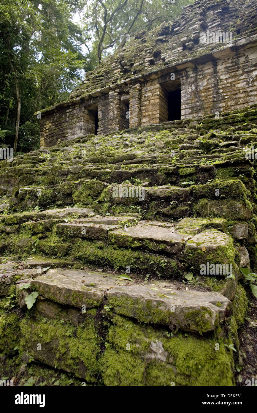 Mexico chiapas lacandon jungle north hi-res stock photography and ...
