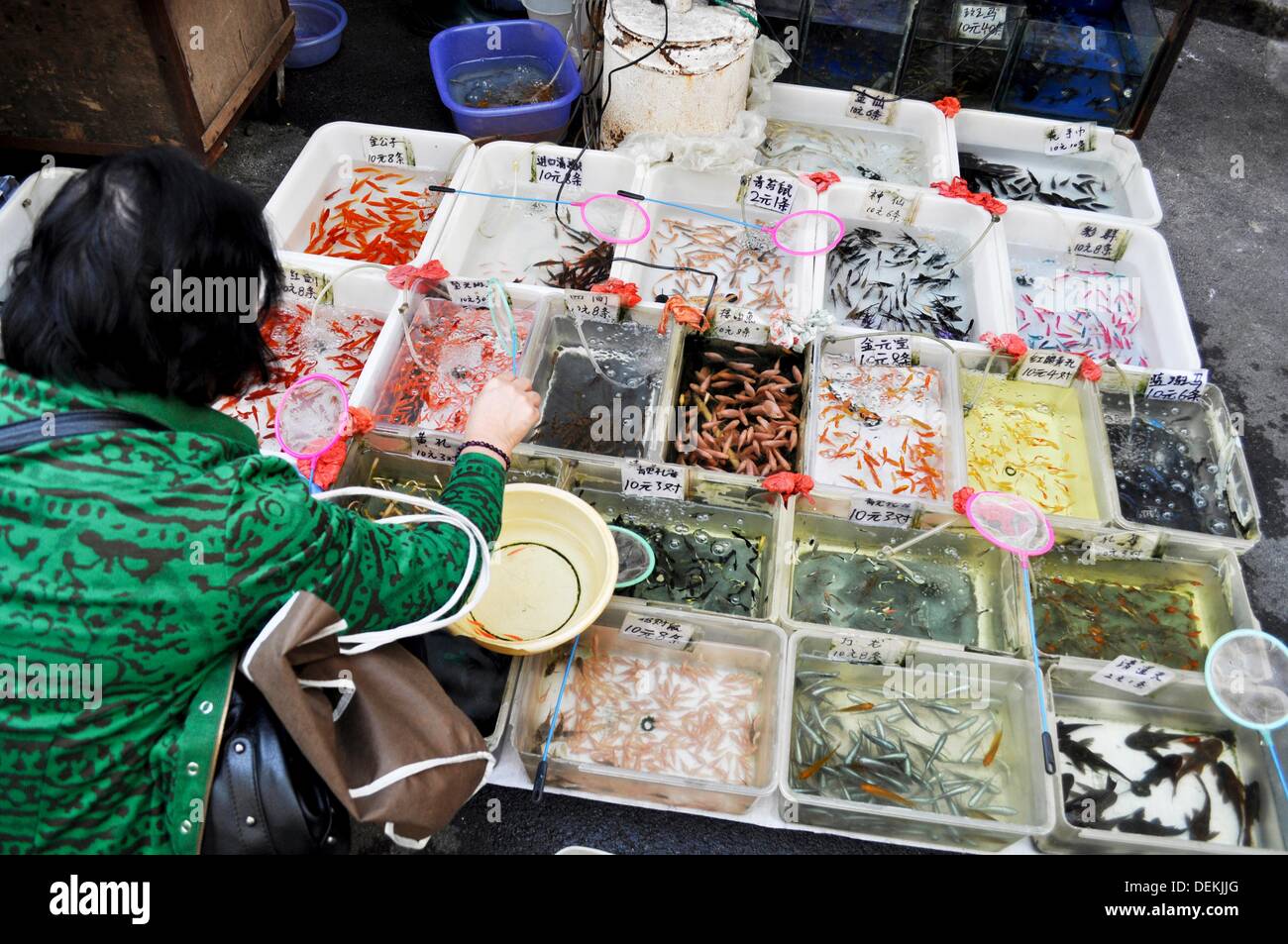 Guangzhou (China) fishes sold at the pets market in the Changshoulu neighborhood Stock Photo