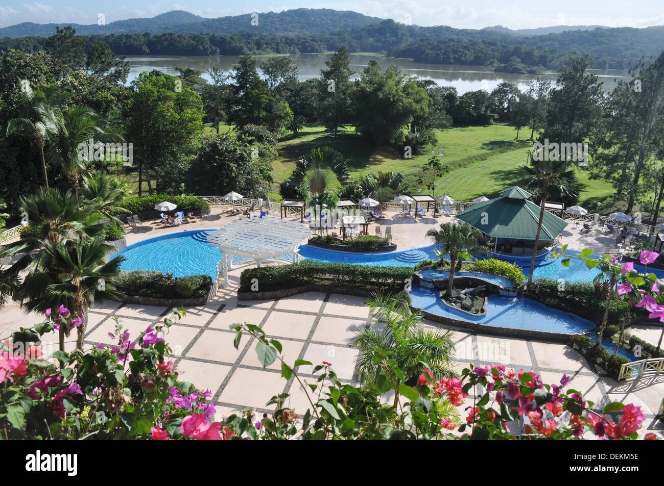 Gamboa Panama the swimming pool of the Gamboa Resort Stock Photo Alamy
