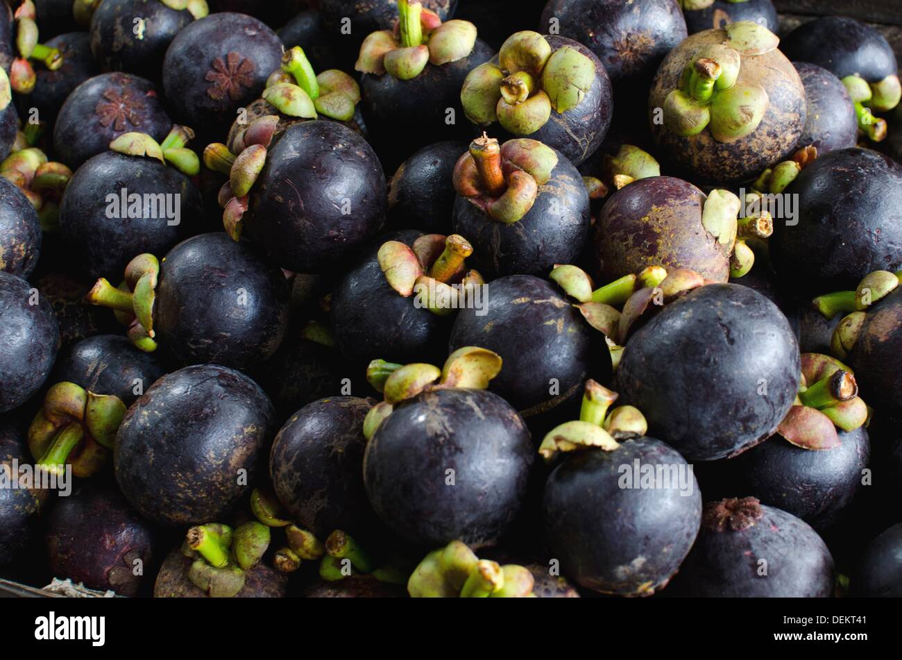 Mangosteen fruits, Bedugul, Bali Stock Photo Alamy