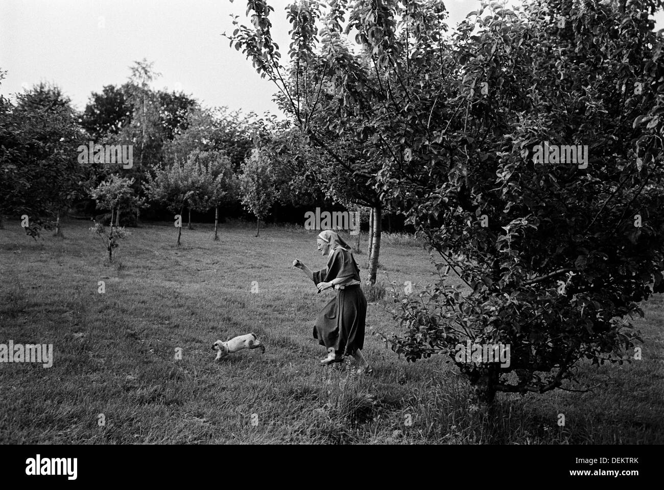A nun chasing a rabbit in the gardens of St Michael's Convent, Ham.Richmond, Surrey. England Stock Photo