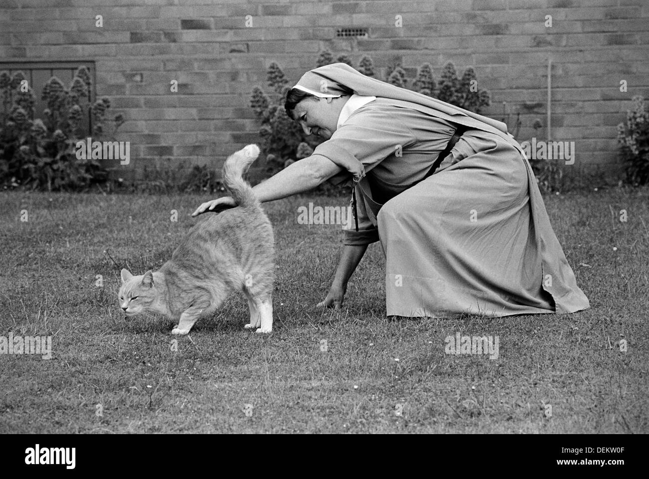 Nun stroking a cat at the Anglican Convent of the Holy Name, Malvern Stock Photo