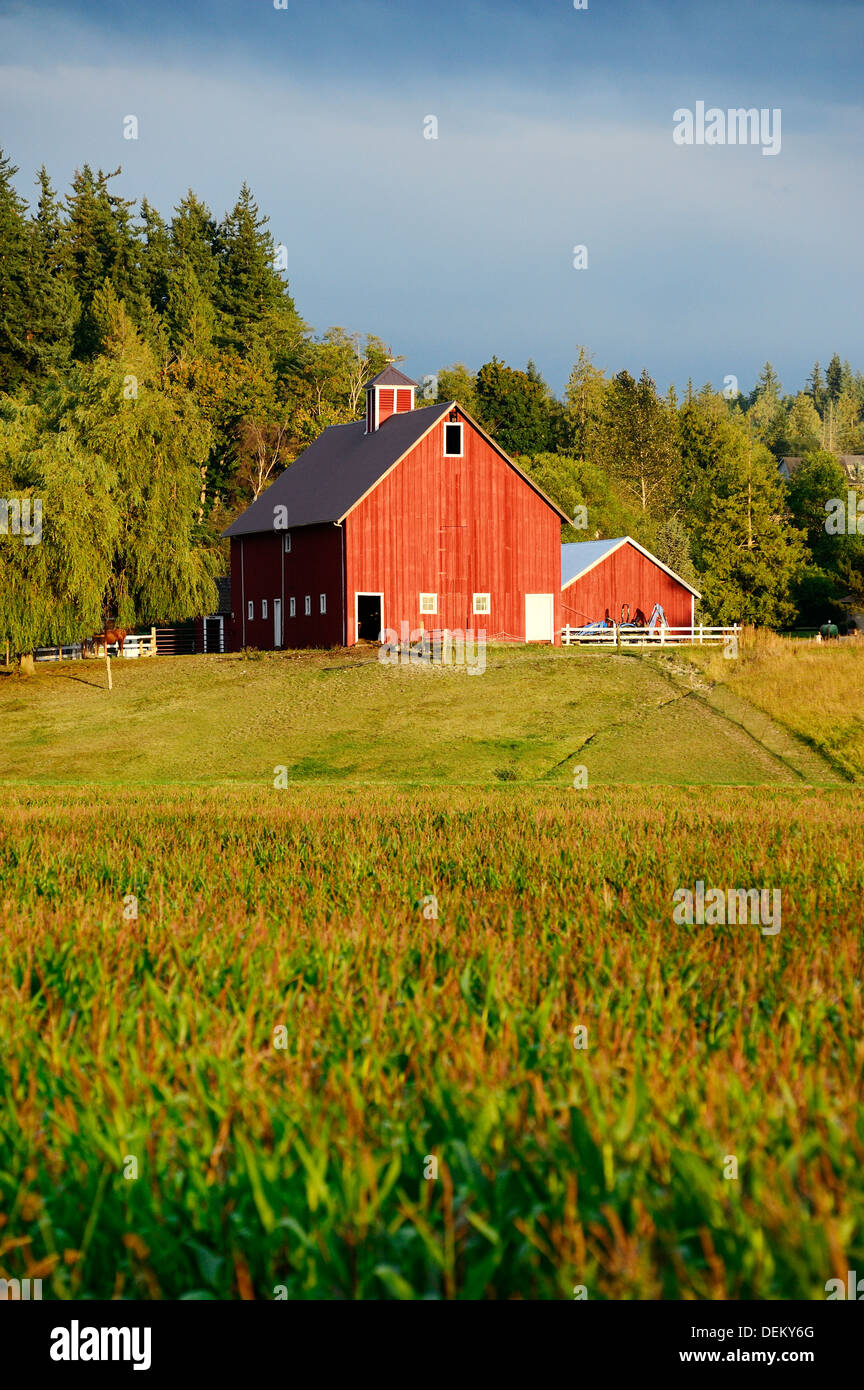 Red barn in rural landscape Stock Photo