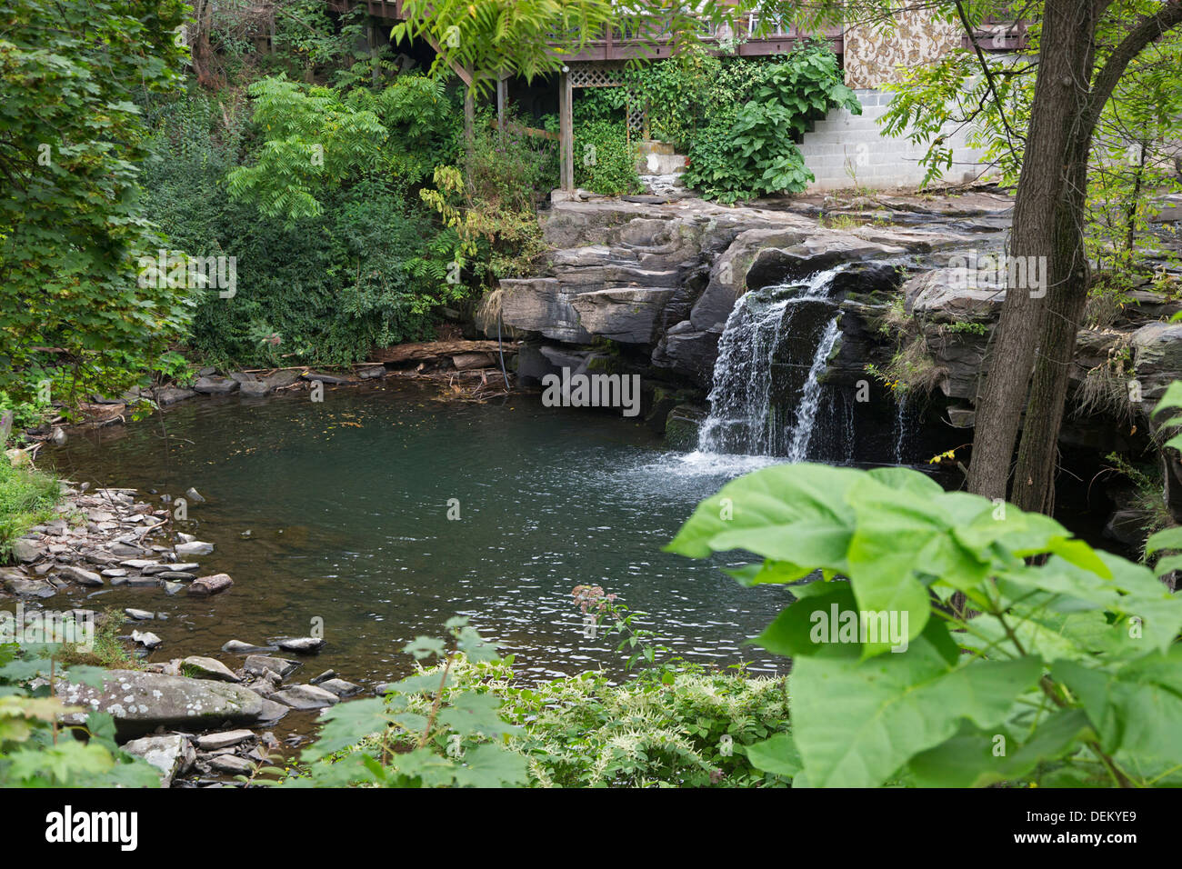 Personals in woodstock new york