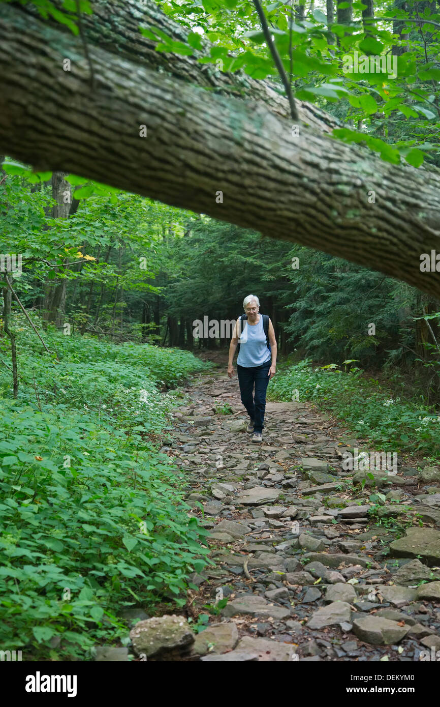 Woodstock, New York Susan Newell, 64, hikes on a trail in the Catskill Mountains Stock Photo