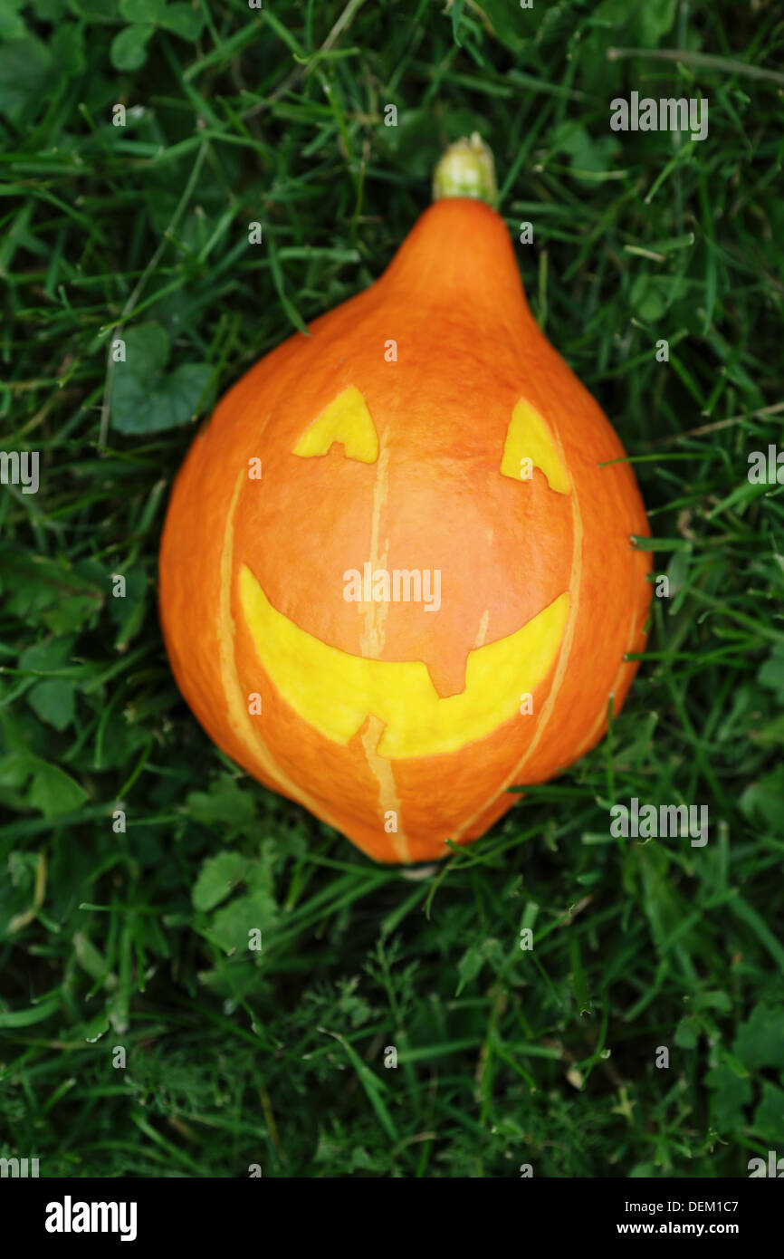 Halloween pumpkin on green grass, vertical photo Stock Photo - Alamy