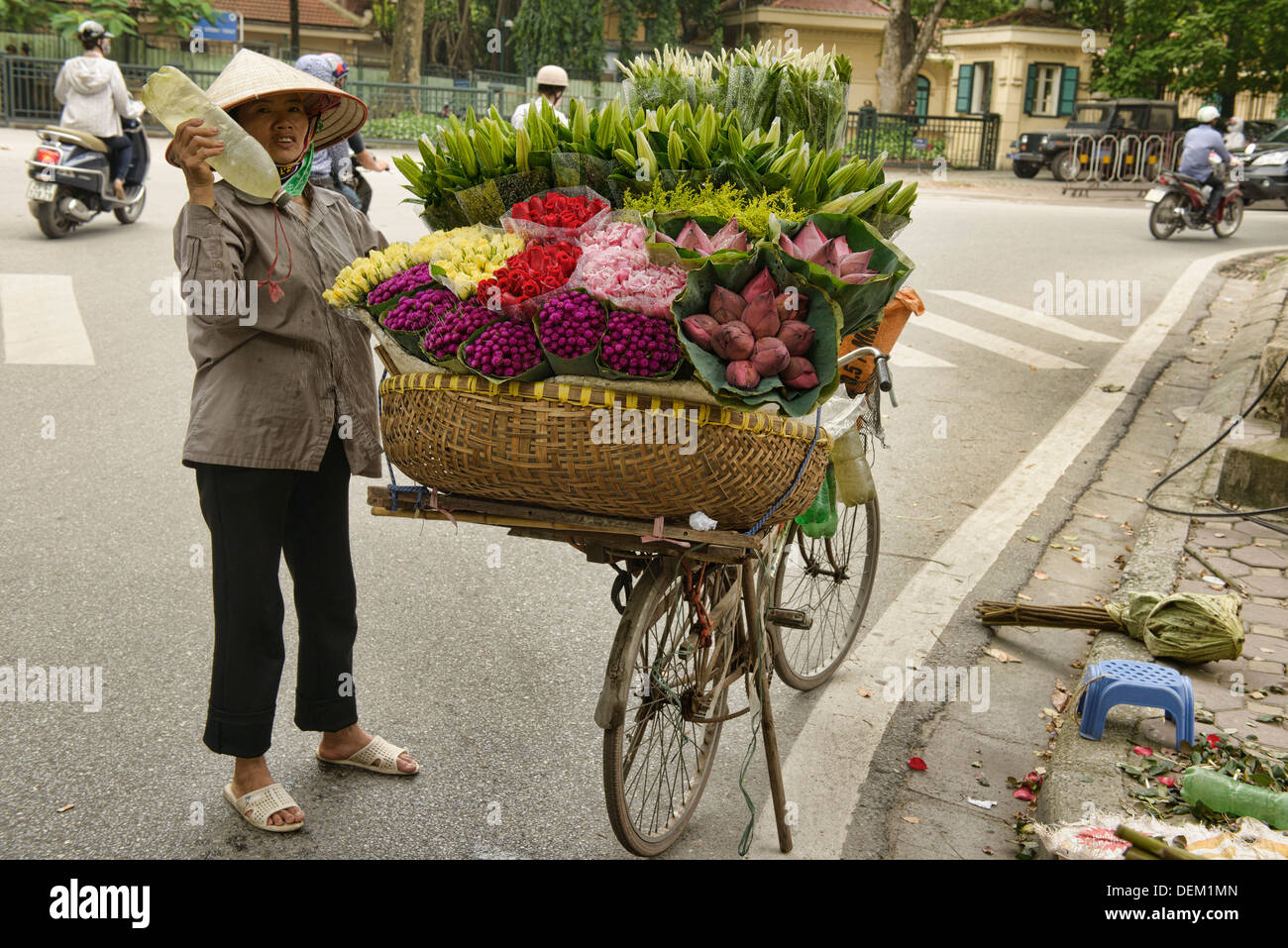 flower vendor in Hanoi, Vietnam Stock Photo Alamy