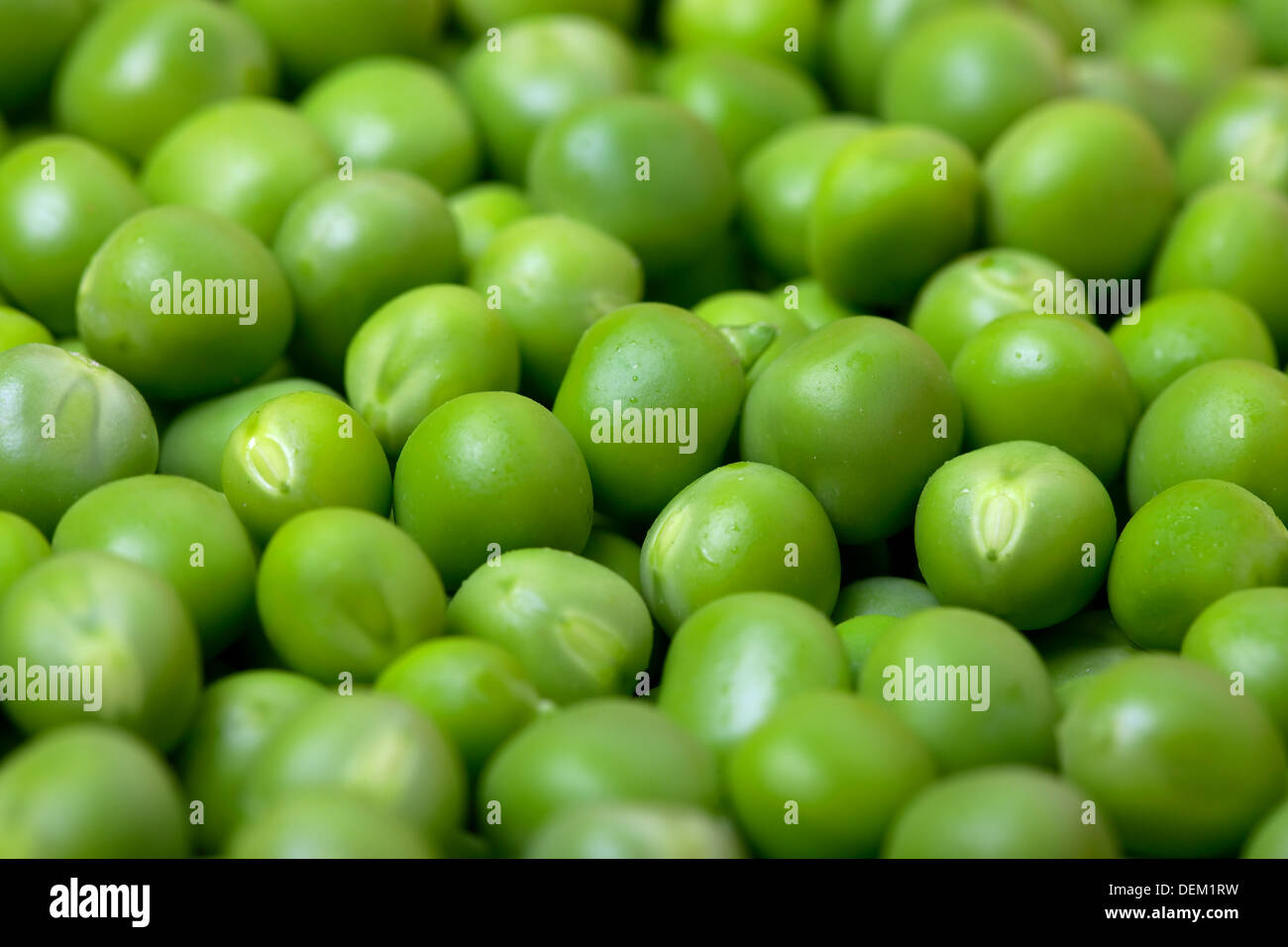 Green Peas Stock Photo