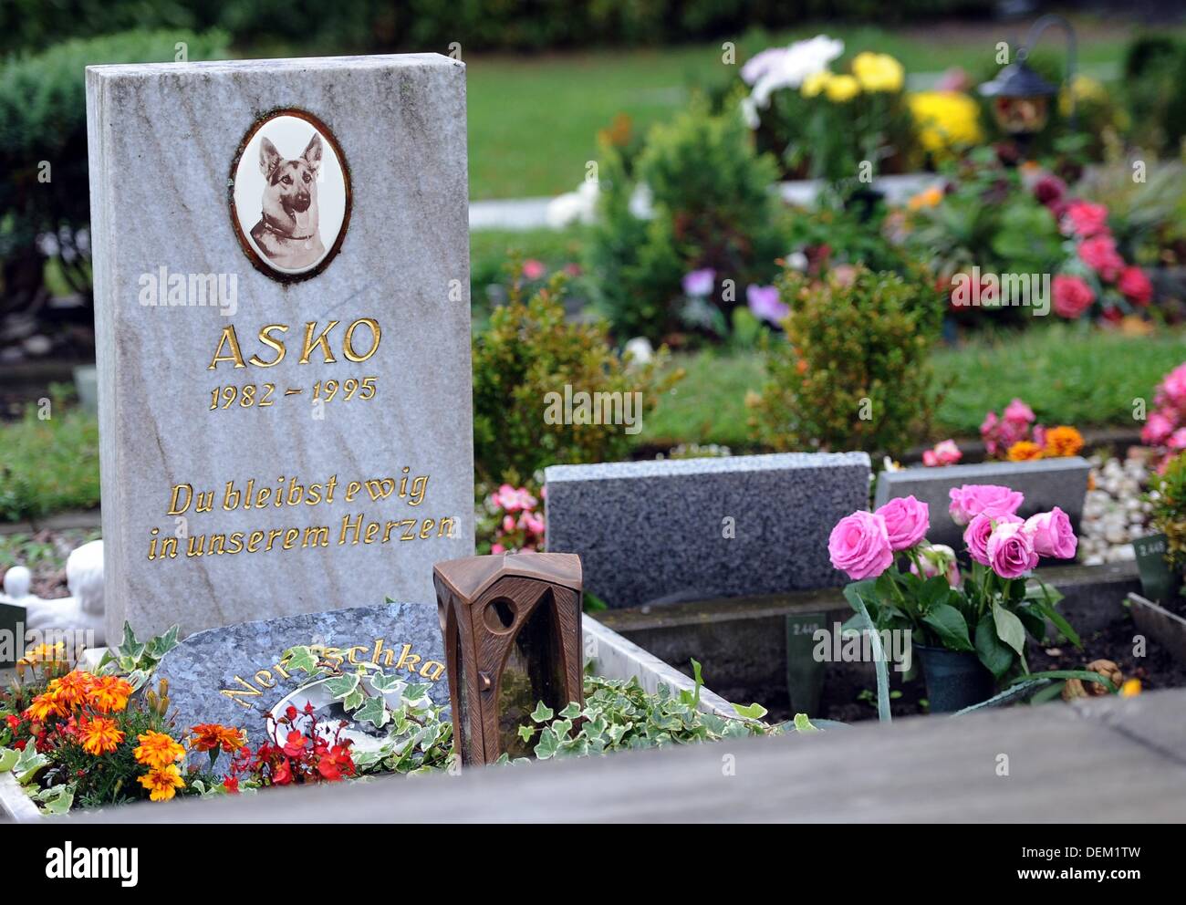Animal graves are pictured at the pet cemetery in Berlin, Germany, 18 ...