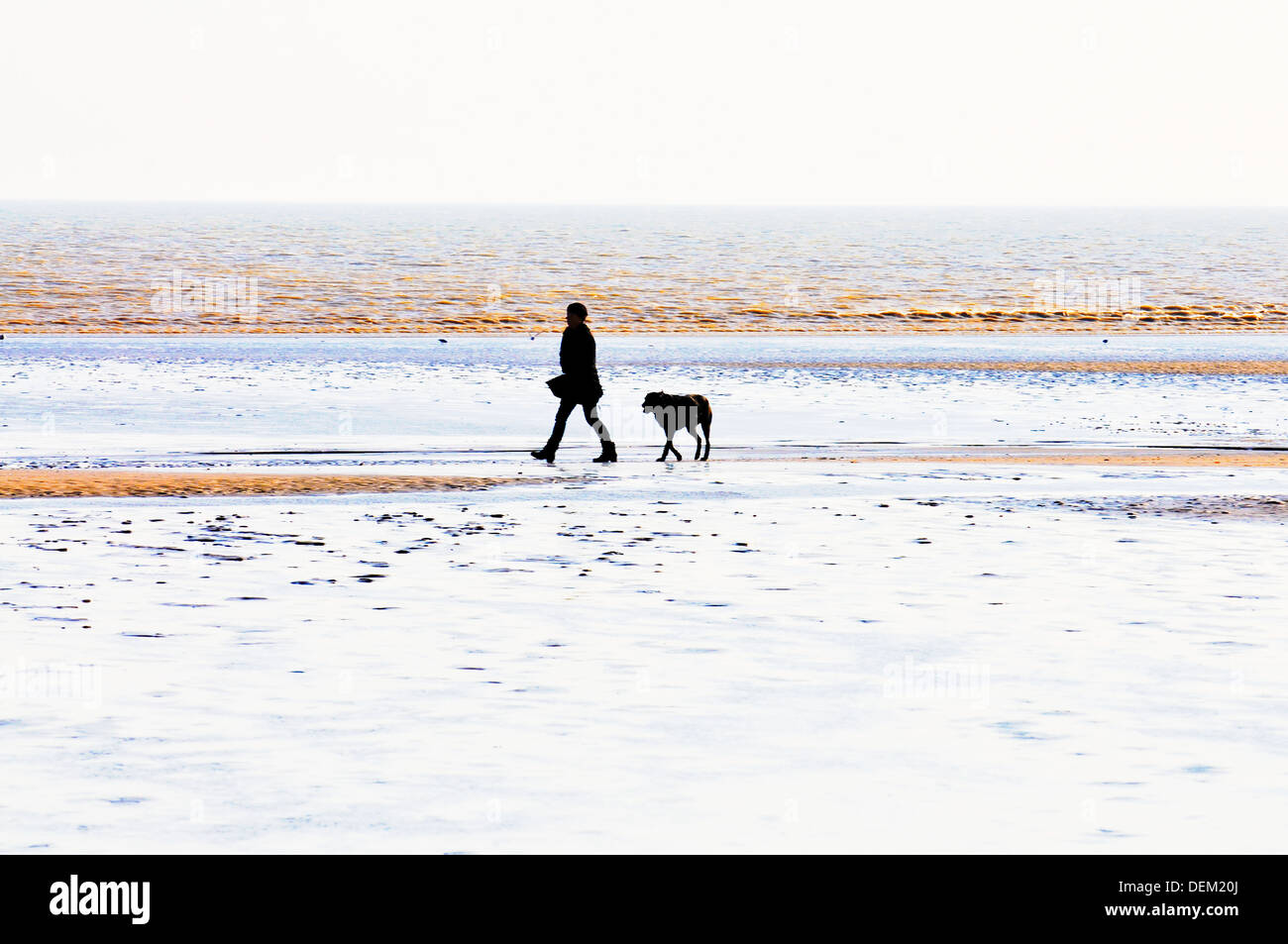 man,dog,camber sands,kent,england,uk,europe Stock Photo