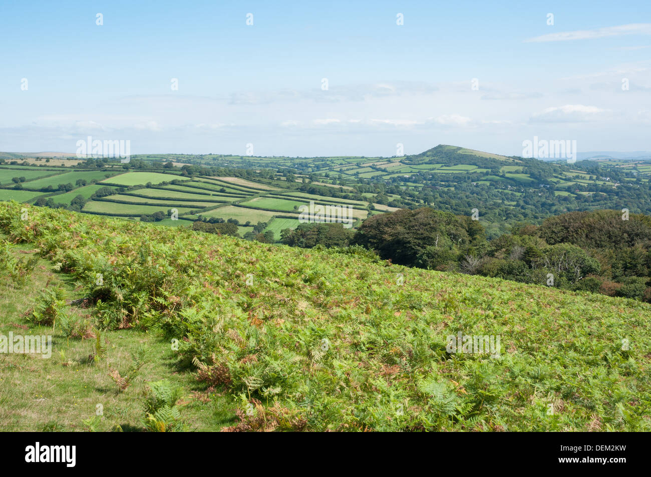 View of Brent Hill from Ugborough Beacon, Dartmoor with patchwork of fields Stock Photo