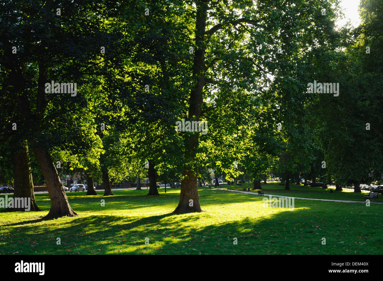 Goose Green, East Dulwich in summer Stock Photo