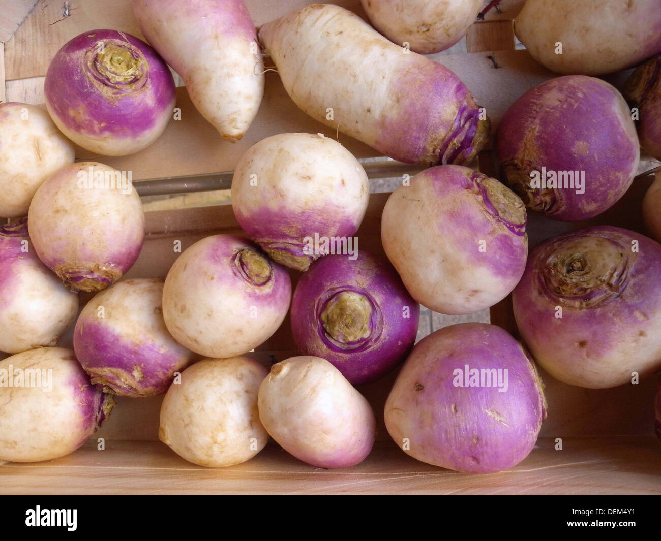 Turnips in a supermarket, France Stock Photo Alamy