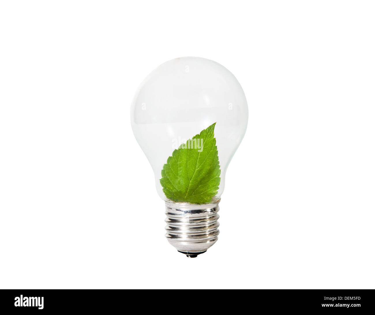 Light Bulb with green leaf inside Stock Photo - Alamy