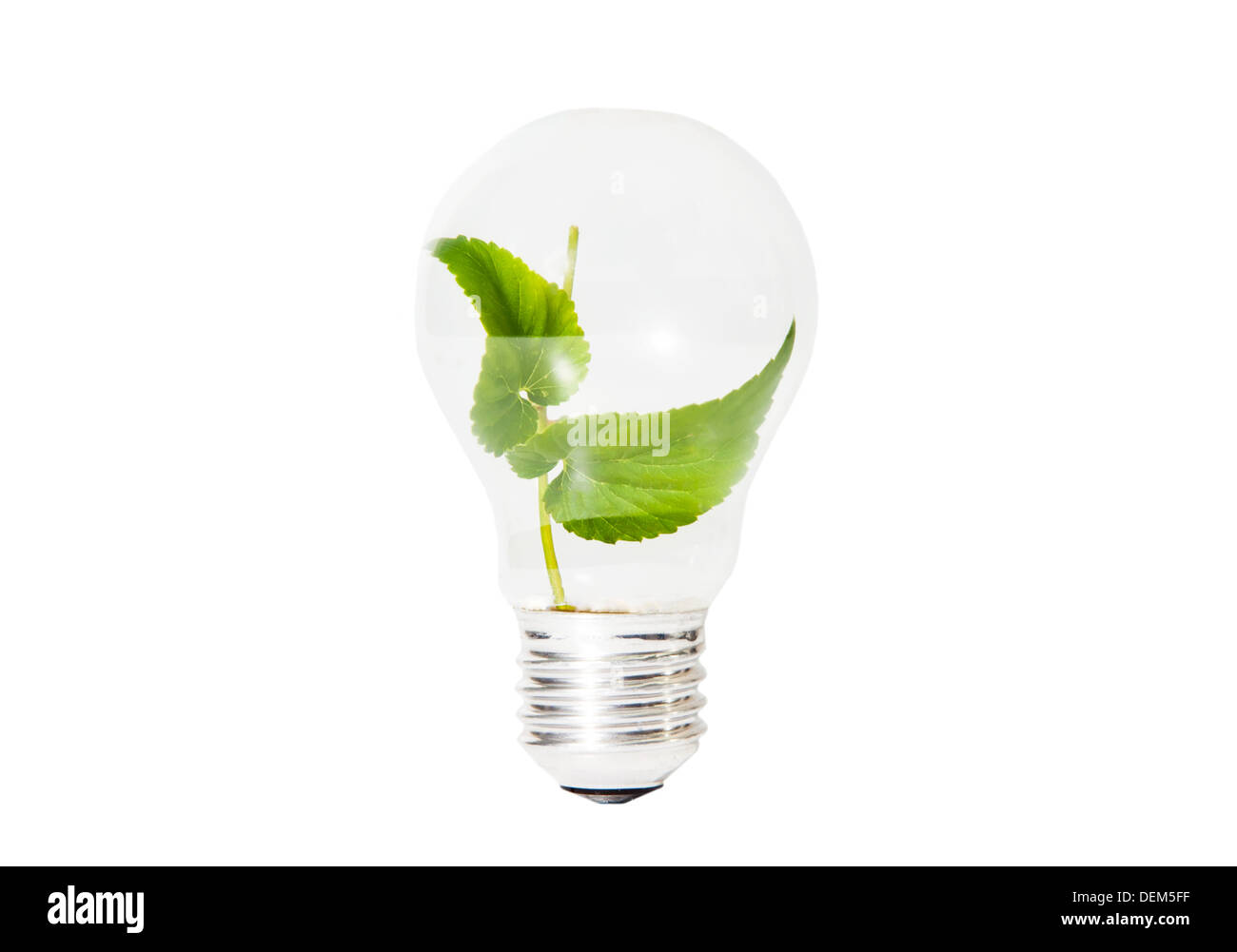 Light Bulb with green leaf inside isolated Stock Photo - Alamy