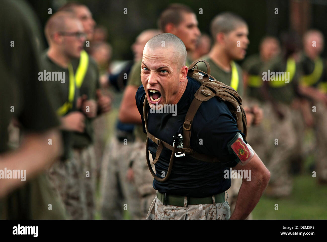 US Marine Corps drill instructor Sgt. William Loughran screams at recruits during physical training at Marine Corps Recruit Depot September 18, 2013 on Parris Island, S.C. Stock Photo