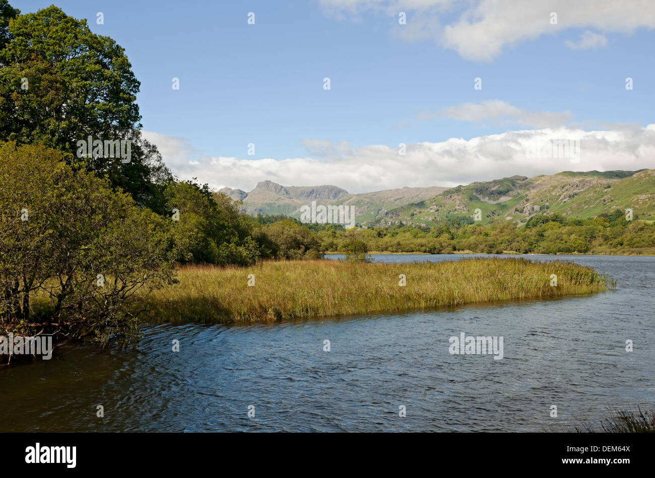 View from Elterwater towards Langdale Pikes in summer Lake District National Park Cumbria England UK United Kingdom GB Great Britain Stock Photo