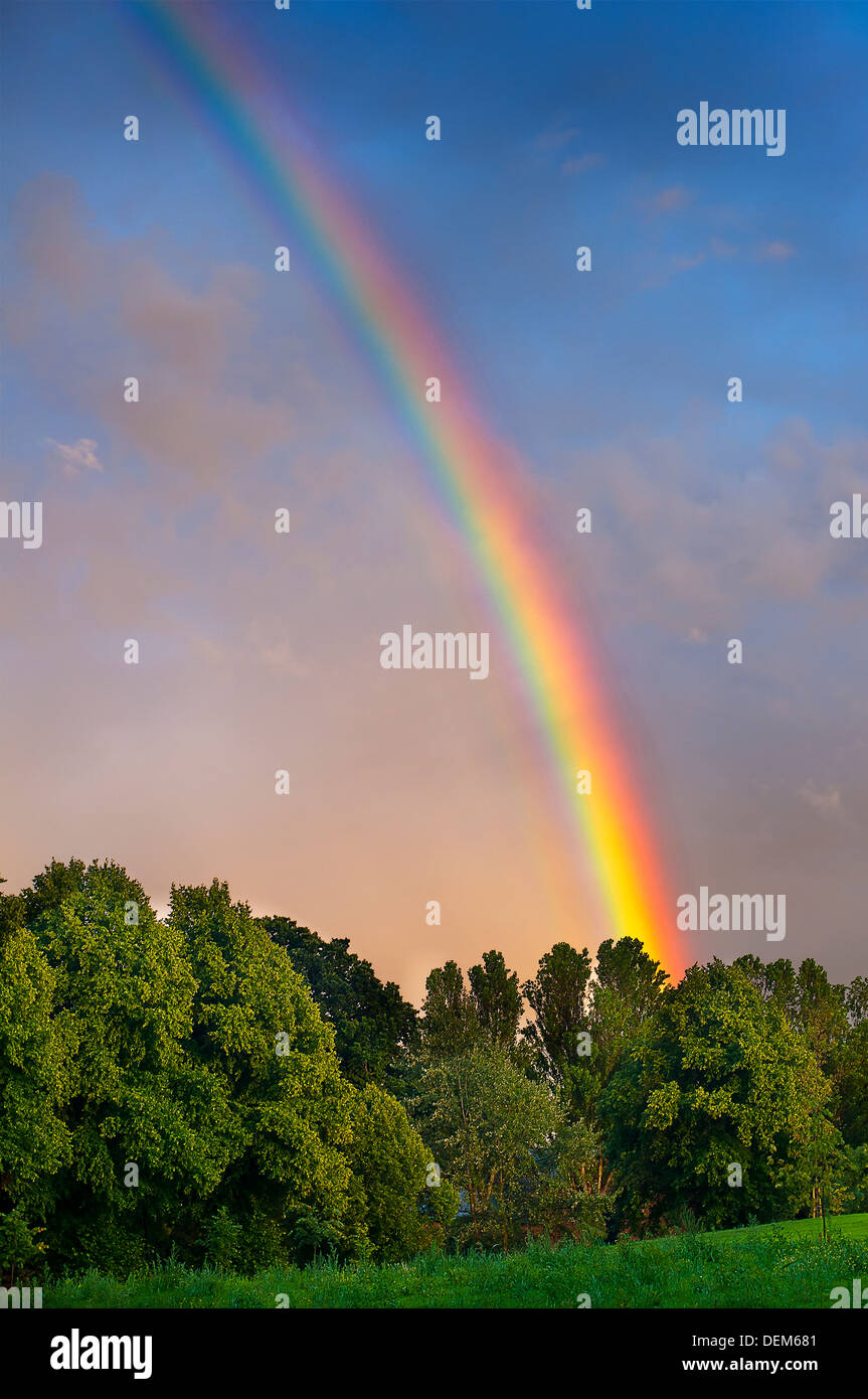 Rainbow over trees Stock Photo