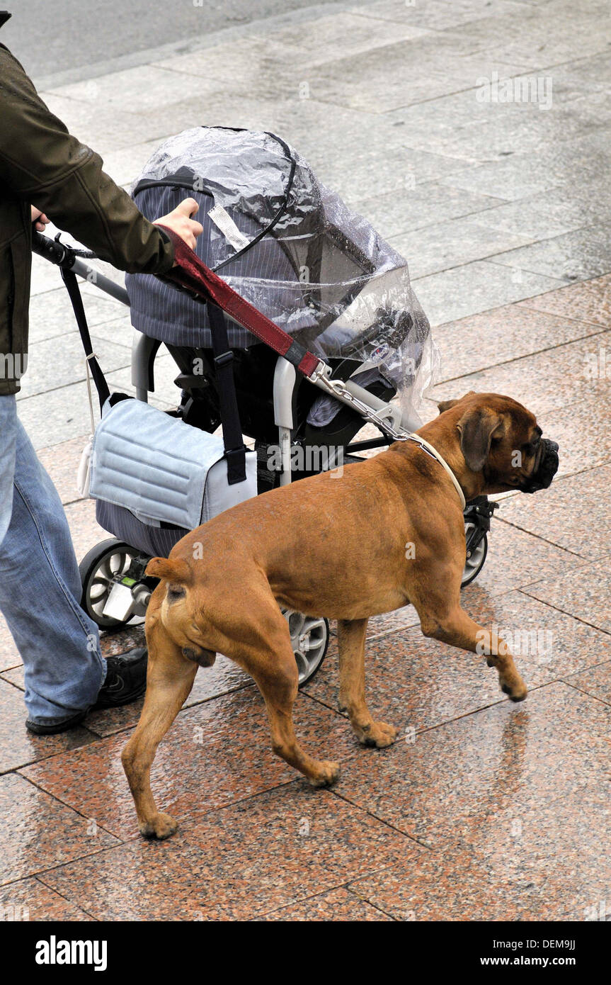 dog walking stroller