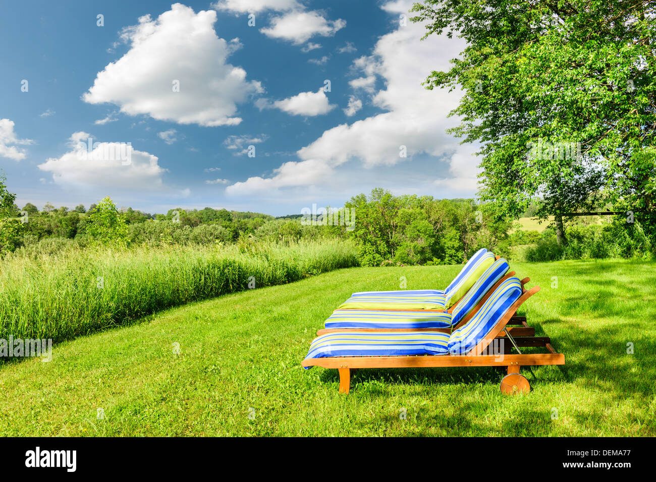 Two wooden outdoor lounge chairs on lush green lawn with trees Stock ...