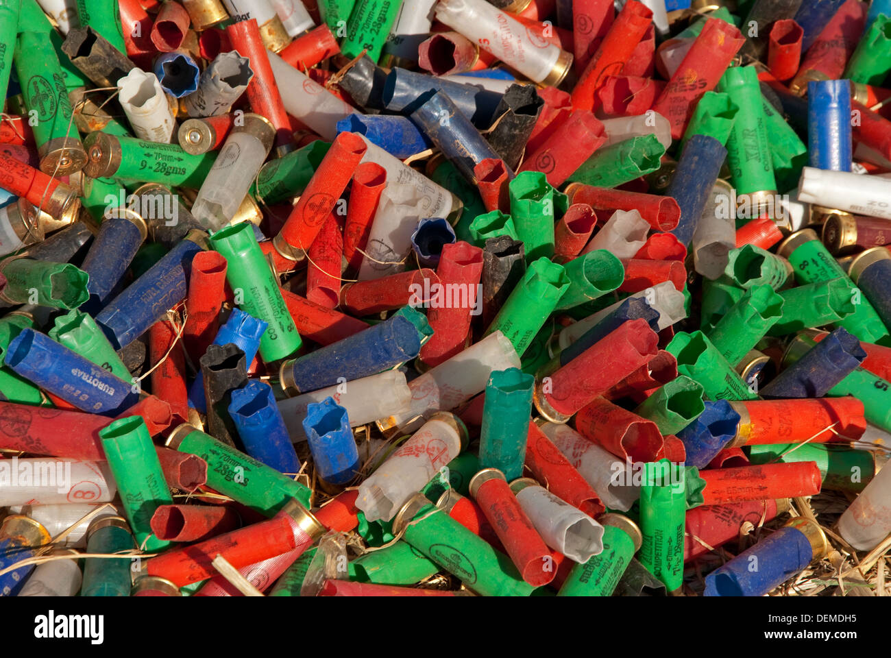Pile of empty 12 bore cartridge cases lying on straw Stock Photo Alamy