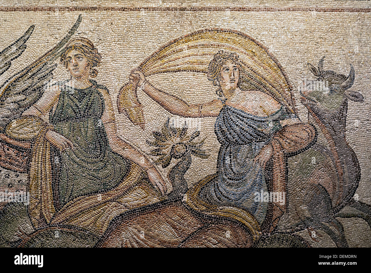 Europa bull zeus museum hires stock photography and images Alamy