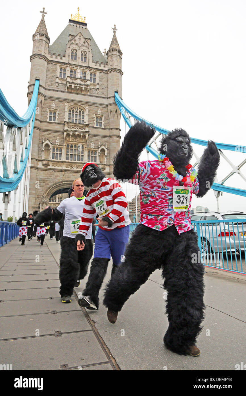 Gorilla Fancy Dress High Resolution Stock Photography and Images Alamy