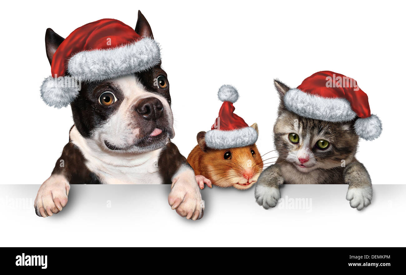 Christmas Pet sign for veterinary medicine and pet store or animal adoption winter holiday advertising and marketing message with a cute dog hamster and a cat with a santa hat hanging on a horizontal white placard with copy space. Stock Photo